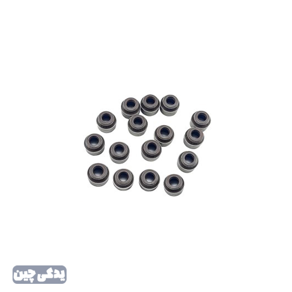 کاسه نمد ساق سوپاپ x33 ويژن