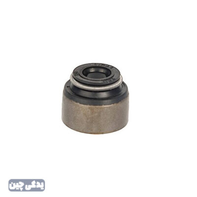 کاسه نمد سوپاپ (16عدد) 6201.6