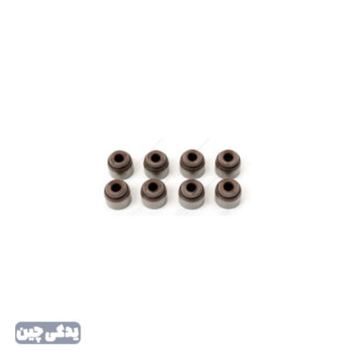 کاسه نمد سوپاپ دود 6201.8