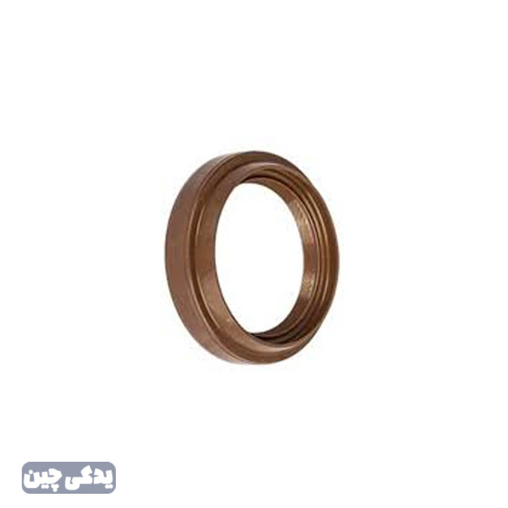 کاسه نمد پلوس X60 بازاري