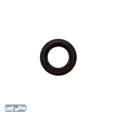 کاسه نمد پلوس برليانس 200 دنده