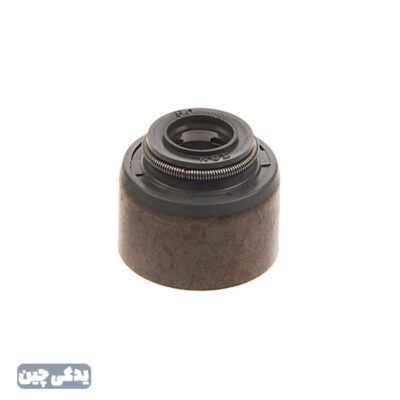 لاستيک سوپاپ دود و هوا S5AT