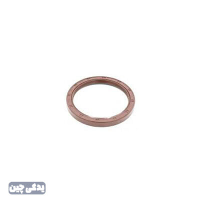 کاسه نمد ته ميللنگ 620/1600