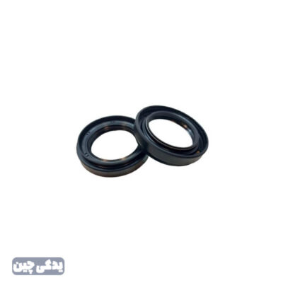 کاسه نمد پلوس X33 شرکتي