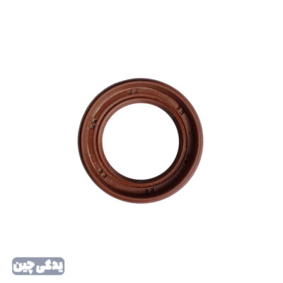 کاسه نمد پلوس 315/530/X33/S5AT/برليانس200