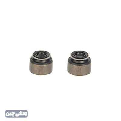 لاستيک ساق سوپاپ برليانس