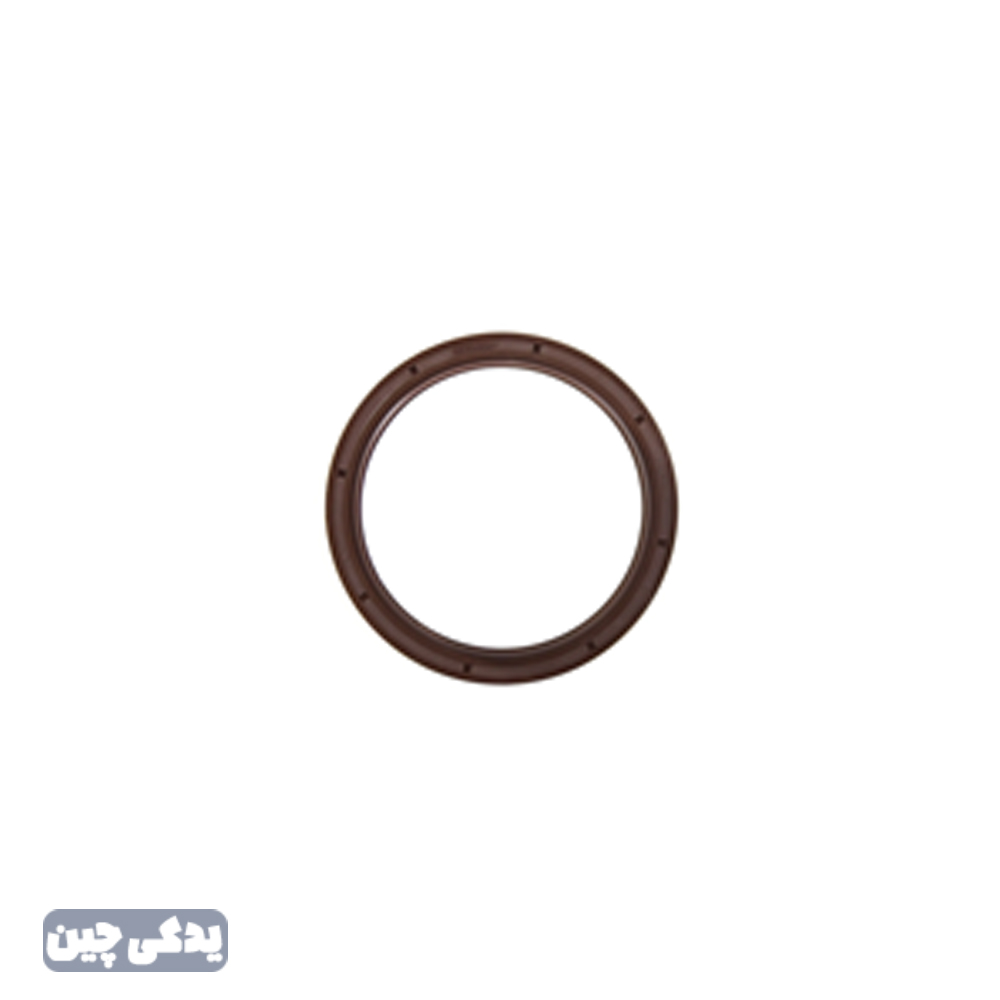 کاسه نمد عقب ميللنگ 6201.8