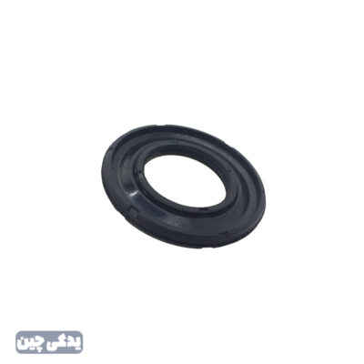 کاسه نمد ژانبون