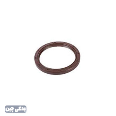 کاسه نمد عقب ميللنگ 6201.6